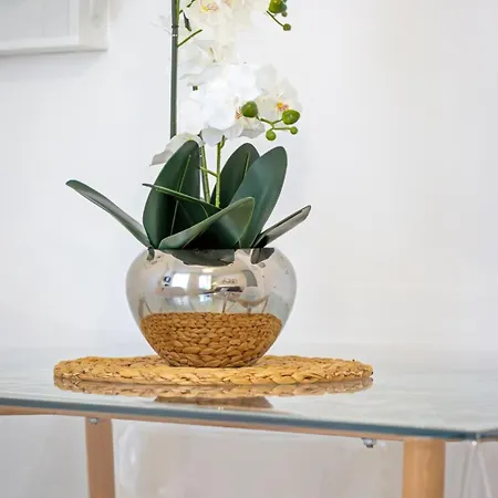 Léandre Entièrement Rénové Avec Extérieur Appartement