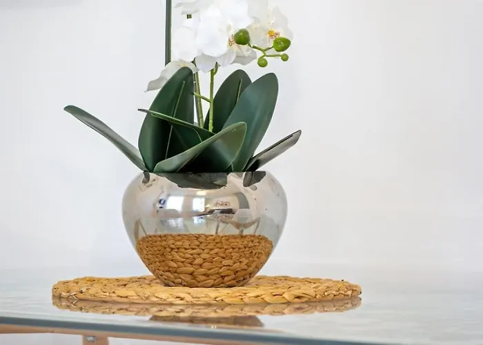 Leandre Entierement Renove Avec Exterieur Apartment